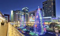 周辺情報【所沢駅西口イルミライティングファンタジア2024-2025】