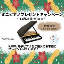 8階山野楽器ワルツ所沢店　～ミニピアノプレゼントキャンペーン～