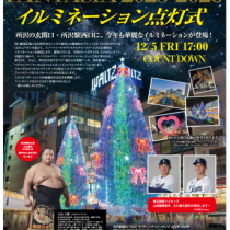 22025ワルツイルミポスターOL